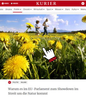 Hier geht's zum Video von Andi Schieder